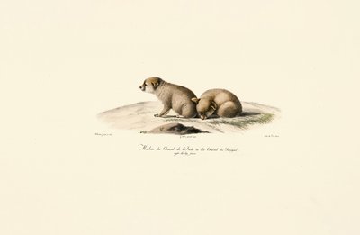  autorstwa Jacques Christophe Werner