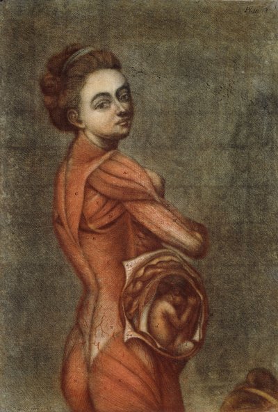 Ilustracja anatomiczna w kolorze kobiety w ciąży, 1778 autorstwa Jacques-Fabien Gautier dAgoty