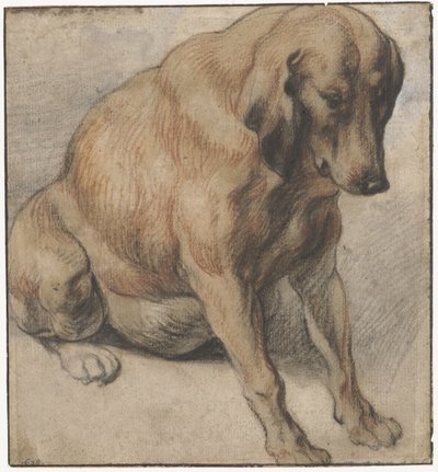 Siedzący pies Siedzący pies w ciąży autorstwa Jacques Jordaens
