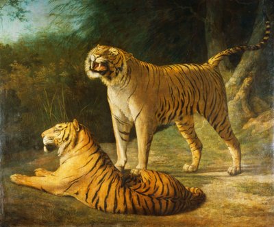 Tygrys i Tygrysica w Exeter „Zmień Menażerię w 1808, 1808 r. autorstwa Jacques Laurent Agasse