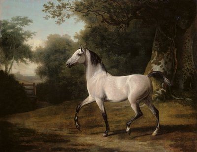 Szary arabski ogier w zalesionym krajobrazie autorstwa Jacques Laurent Agasse