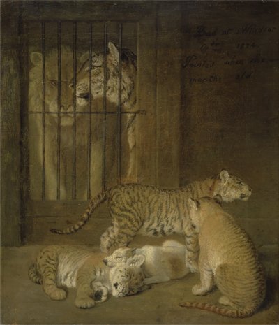 Grupa szczeniąt wyhodowana między lwem a tygrysicą autorstwa Jacques Laurent Agasse