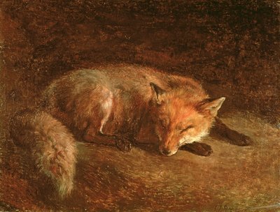 śpiący lis autorstwa Jacques Laurent Agasse
