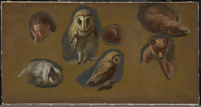 Studia lisa, płomykówki, pawicy i głowy młodego mężczyzny autorstwa Jacques Laurent Agasse