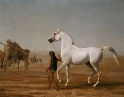 Wellesley Grey Arabian prowadził przez pustynię autorstwa Jacques Laurent Agasse