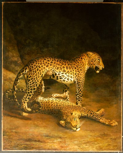 Dwa lamparty leżące na giełdzie w Exeter, 1808 autorstwa Jacques Laurent Agasse