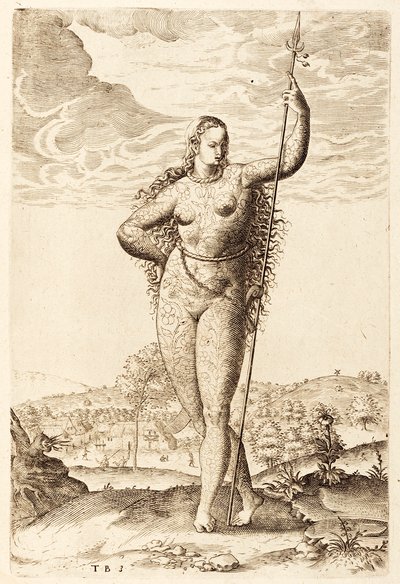 Młoda Piktówka, ok. 1585 (rycina bw) autorstwa Jacques Le Moyne