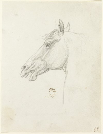Głowa konia autorstwa Jacques Louis David