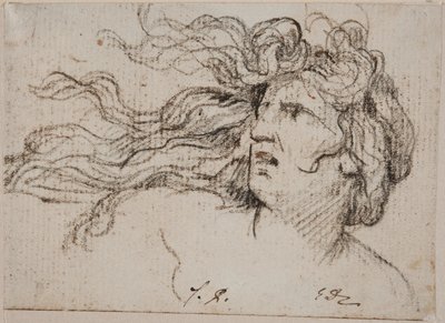 Głowa kobiety z rozwianymi włosami autorstwa Jacques Louis David