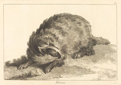 Blereau (borsuk) autorstwa Jacques Philippe Le Bas and Jean Eric Rehn after Jean Baptiste Oudry