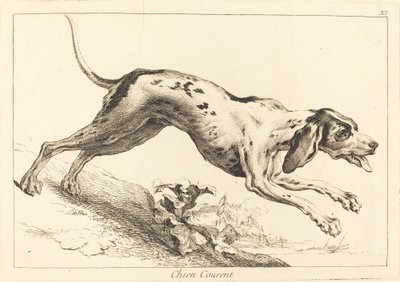 Chien courent (biegnący pies) autorstwa Jacques Philippe Le Bas and Jean Eric Rehn after Jean Baptiste Oudry
