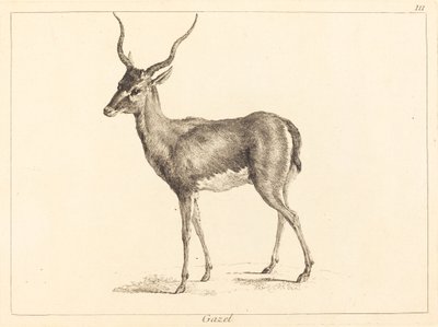 Gazela (Gazela) autorstwa Jacques Philippe Le Bas and Jean Eric Rehn after Jean Baptiste Oudry