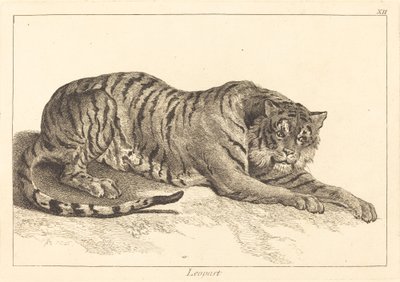 Lampart (Leopard lub Tygrys) autorstwa Jacques Philippe Le Bas and Jean Eric Rehn after Jean Baptiste Oudry
