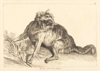 Wilk złapany w pułapkę autorstwa Jacques Philippe Le Bas and Jean Eric Rehn after Jean Baptiste Oudry