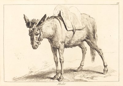 Mulet (muł lub osiodłany osioł) autorstwa Jacques Philippe Le Bas and Jean Eric Rehn after Jean Baptiste Oudry