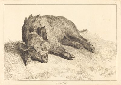 Sanglier (Leżący dzik, skieruj się w lewo) autorstwa Jacques Philippe Le Bas and Jean Eric Rehn after Jean Baptiste Oudry
