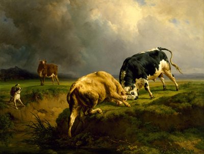 Walka byków autorstwa Jacques Raymond Brascassat