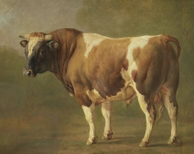 Badanie byka autorstwa Jacques Raymond Brascassat