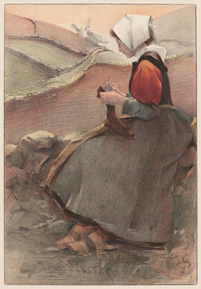 Kwiat Moor, 1897. autorstwa Jacques Wely
