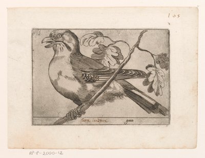 Gaai Gaio (tytuł na obiekcie) Vogels (tytuł serii) autorstwa Jacques de Fornazeris (possibly)