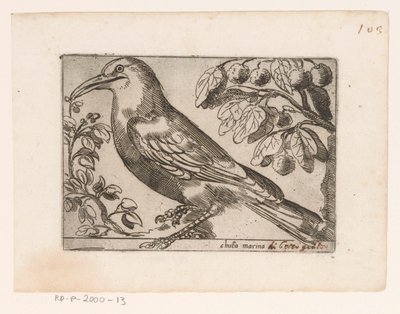 Vogel Przystań Chuta (tytuł na obiekcie) Vogels (tytuł serii) autorstwa Jacques de Fornazeris (possibly)