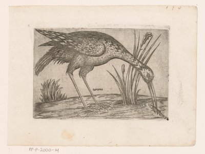 Vogel Tartena (tytuł na obiekcie) Vogels (tytuł serii) autorstwa Jacques de Fornazeris (possibly)