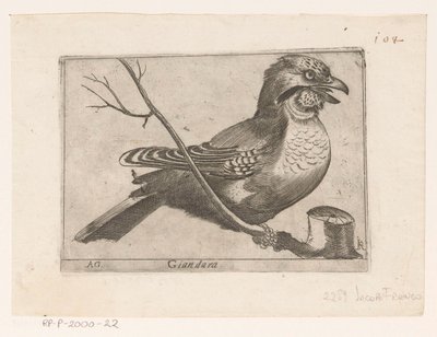 Sójka (Garrulus glandarius) Giandara (tytuł na obiekcie) Ptaki (tytuł serii) autorstwa Jacques de Fornazeris