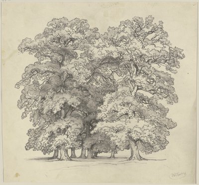  autorstwa Jakob Becker