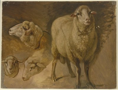  autorstwa Jakob Becker
