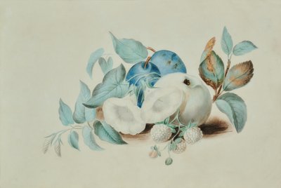 Martwa natura autorstwa James (attr.to) Goddard