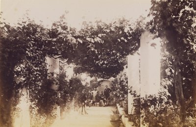  autorstwa James Anderson