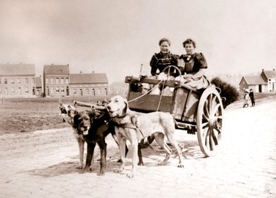 Psy ciągnące kobiety na wozie, Antwerpia, 1898. autorstwa James Batkin