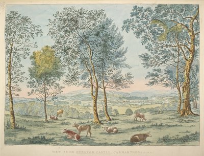 Mapy K, Top 46. 35 c Widok z zamku Dynevor, Carmarthen (akwaforta ręcznie kolorowana) autorstwa James Bretherton