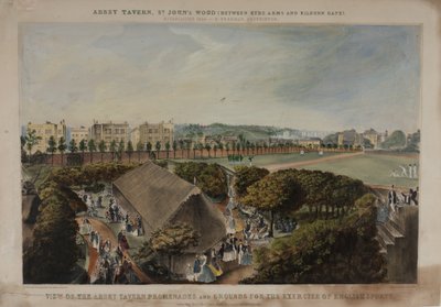 Widok na promenady i tereny Abbey Taverns, Violet Hill, Marylebone, ok. 1870 r. autorstwa James D Barnett