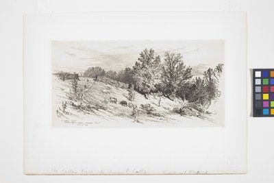 Ugorowane pole (atrament) autorstwa James David Smillie