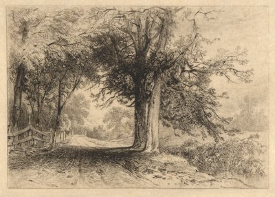 A Farm Lane, styczeń 1887, Opus 2 autorstwa James David Smillie