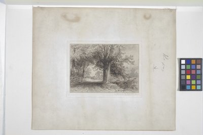 Paisagem (gravura, chine collé) polonês autorstwa James David Smillie