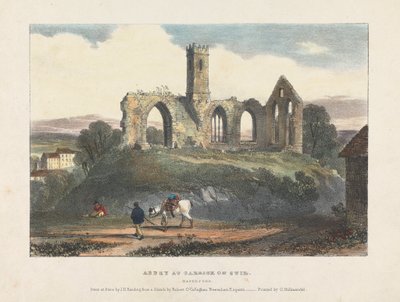 Opactwo w Carrick on Suir autorstwa James Duffield Harding