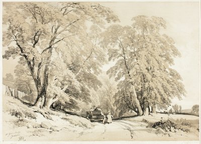 Ash, z Parku i lasu autorstwa James Duffield Harding