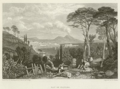 Zatoka Neapolitańska autorstwa James Duffield Harding