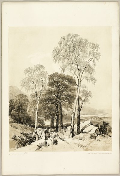 Brzoza i Dąb, z Parku i Lasu autorstwa James Duffield Harding