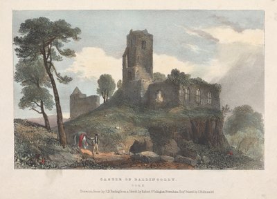 Zamek Ballincolly autorstwa James Duffield Harding