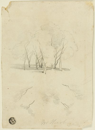 Kępka Drzew autorstwa James Duffield Harding