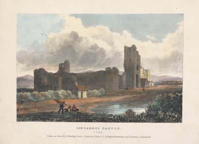 Polonês do Castelo de Liscarroll autorstwa James Duffield Harding
