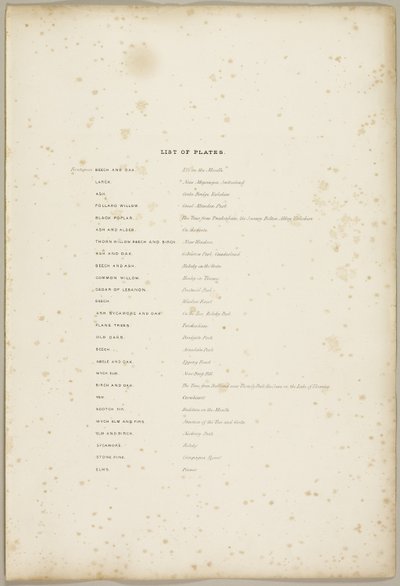 Spis tabliczek z parku i lasu autorstwa James Duffield Harding
