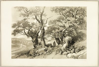 Stare Dęby, z Parku i Lasu autorstwa James Duffield Harding
