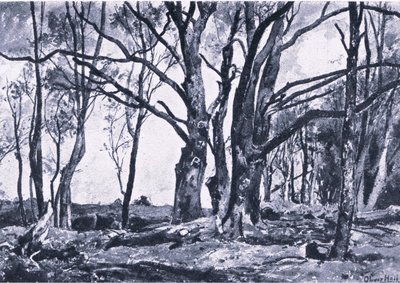 Pollard Willows in Windsor meadows, Nature in Britain, wyd. Collins autorstwa James Duffield Harding