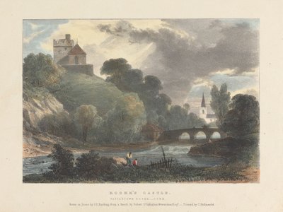 Zamek Roche