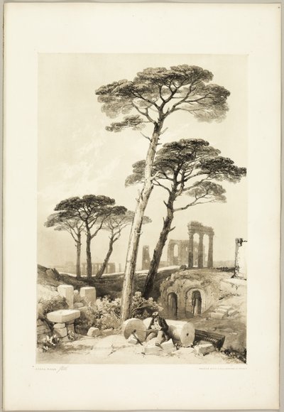 Kamienne Sosny, z Parku i Lasu autorstwa James Duffield Harding