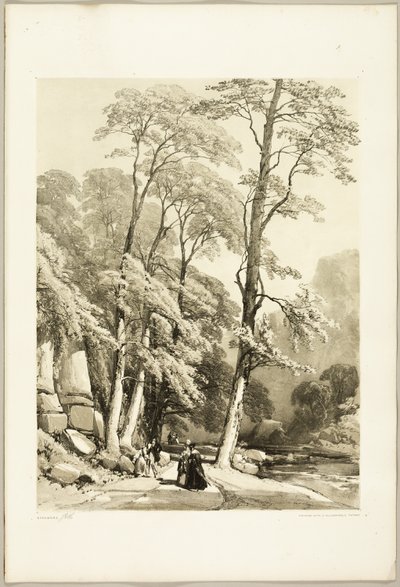 Jawor, z Parku i Lasu autorstwa James Duffield Harding